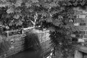 L1002331.jpg