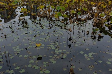 L1002529555.jpg