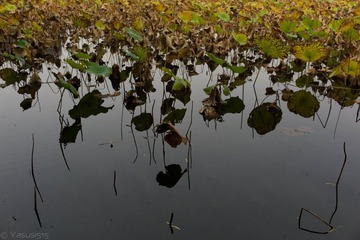 L1002537555.jpg