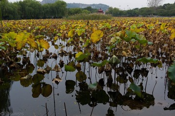 L1002546555.jpg