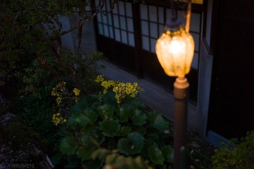 L1002769555.jpg