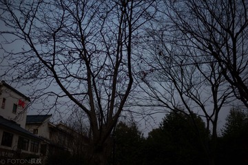 L1003659555.jpg