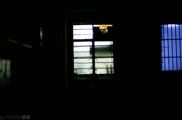 L1003783555.jpg