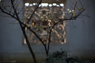 L1004030555.jpg