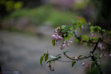 L1004820555.jpg