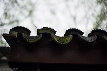 L1004821555.jpg