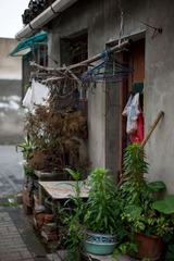 L1005447555.jpg
