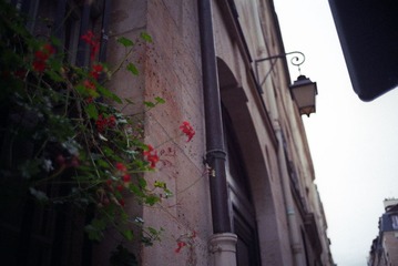 IMG-5000-44475-135555