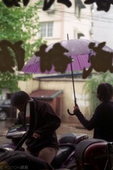 IMG-5000-79699-135555