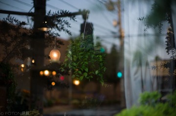 L1006574555