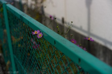 L1006799555