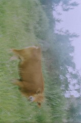 6054C418-7E3D-4C33-BF9C-AD7236303CB0/L0/001