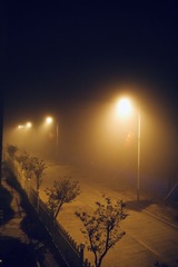 5391D42F-6B36-44DA-B891-E132245EE55D/L0/001