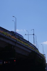 5F36C4F5-07EC-4644-A9AC-5CC56B9D8C55/L0/001