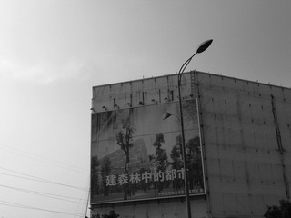 R0030345.JPG