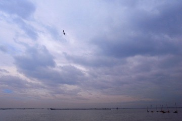R0032418a.jpg