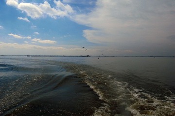 R0032575a.jpg