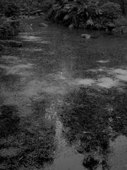 R0033639a.jpg
