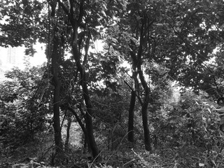 R0015773a