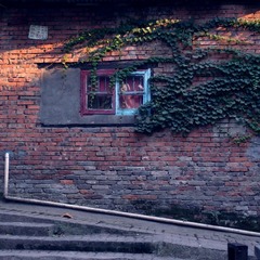 R0016394a