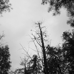 R0016614