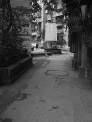 R0017365