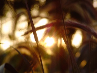 D84DC812-2B58-4023-A564-13C10AA27E73/L0/001