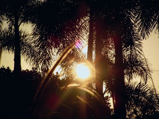 BCC82E0B-B72E-4BF1-9B33-B9F9D581E285/L0/001