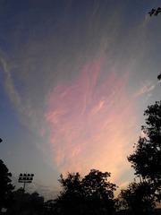 WP_000016.jpg