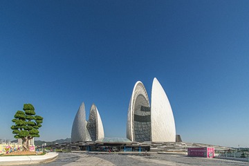 DSC07716-1