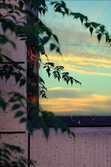 DSCF0047[1]