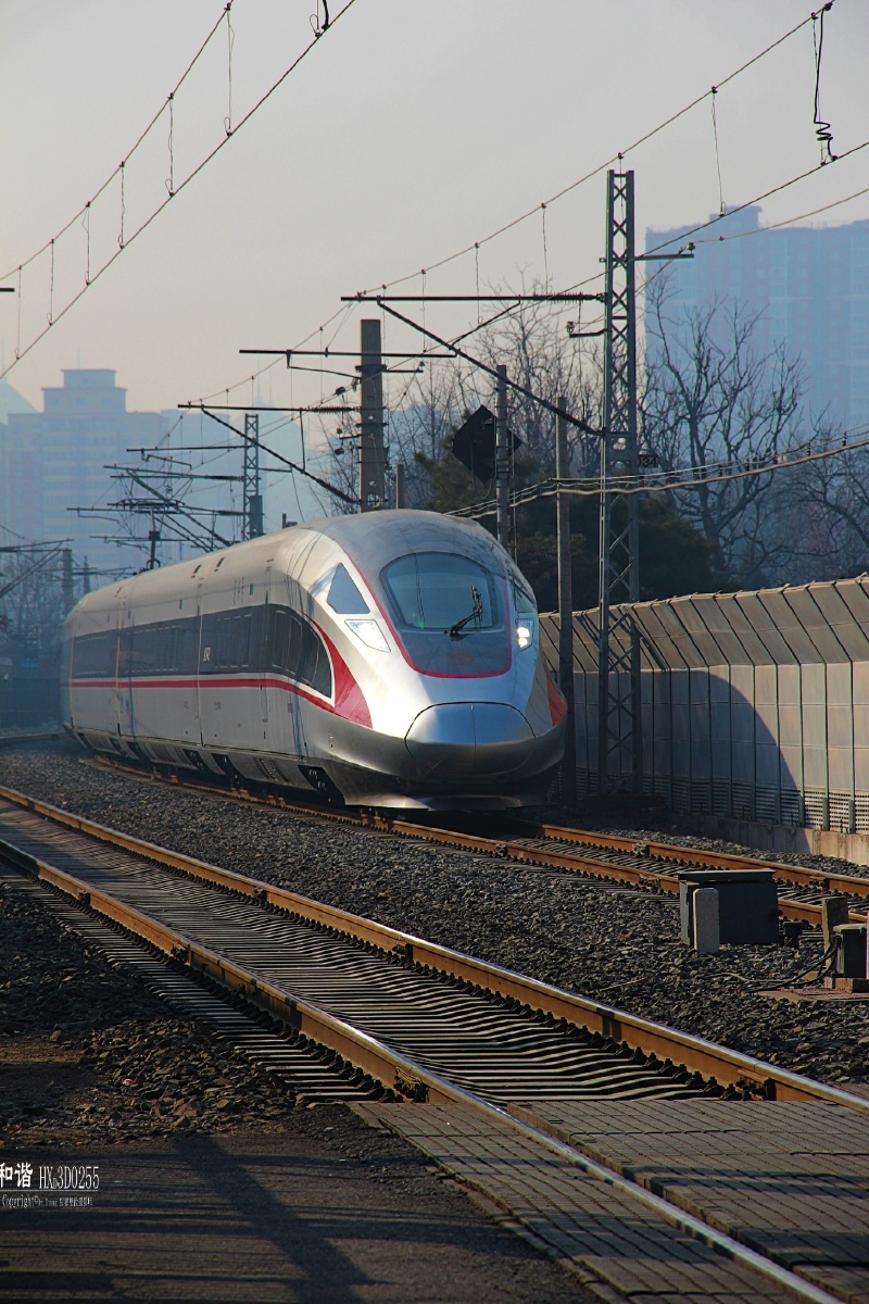 农服所的复兴号#2