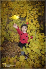 tmp_03f7cb9388712f2d3d5199ef8c75f1e8