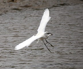 IMG_032x3
