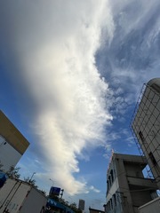 FBC27D75-D20C-4C1D-A6E8-9C29E386C1B3/L0/001