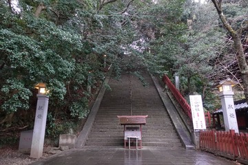 D39AA2A2-3112-44E1-9D9C-8E3F11B6661F/L0/001