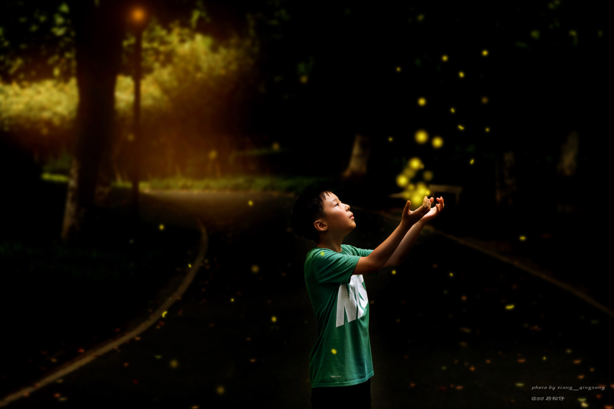 梦中的萤火虫