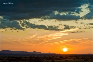 _DSC0406