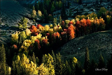 _DSC0055