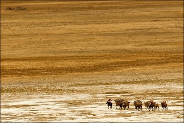 _DSC0073