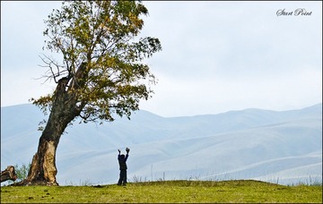 _DSC0137