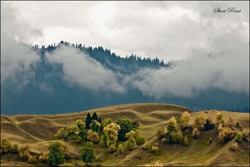 _DSC0359