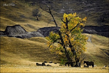 _DSC0191