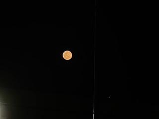 A739F92F-B0E0-4389-B431-238C151A7983/L0/001