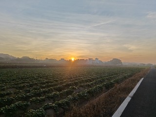 1000001109
