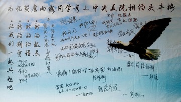 雏鹰展翅