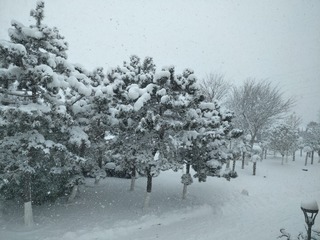 69B50B7F-E82E-4248-9D88-707C8DEC8286/L0/001
