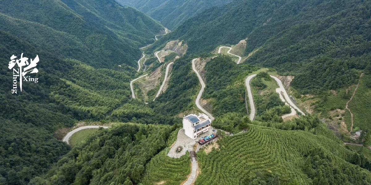 贵溪青茅境