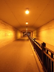 8246