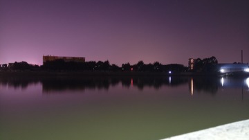 19032